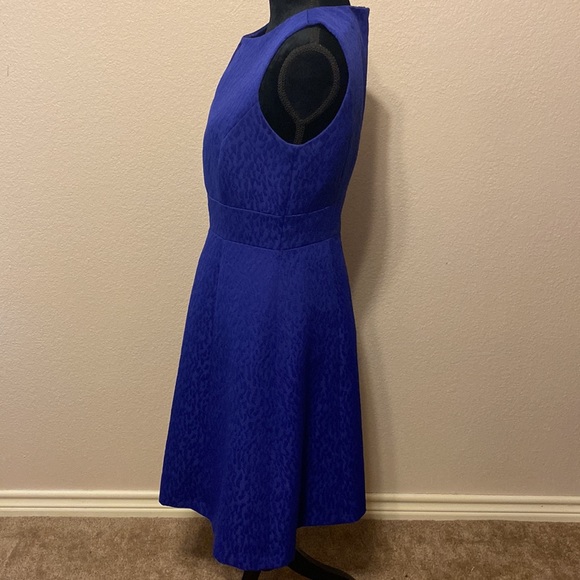 Tahari Blue Flare Dress - Picture 3 of 8